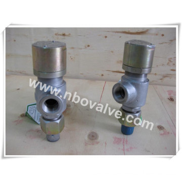 Bsp Threaded Hand Lever Manual Pressure Safety Valve (A21H-3/4")